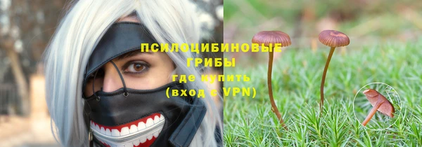 Альфа ПВП Алексин
