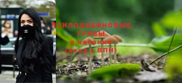 метадон Арсеньев