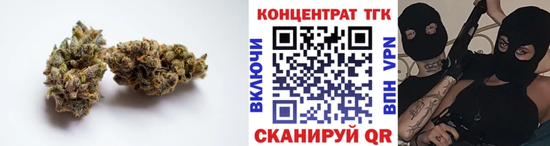 OMG как войти  Бакал  Дистиллят ТГК гашишное масло 
