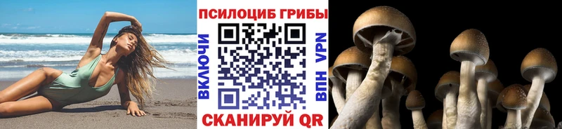 Псилоцибиновые грибы GOLDEN TEACHER  как найти наркотики  Бакал 